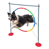 Cachorro