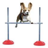 Salto Para Cachorro Adestramento Agility