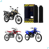 Sanfona Bengala Yamaha Ttr