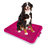Sanitário Canino Xixi Dog Pet Tapete Higiênico Facil Lavar