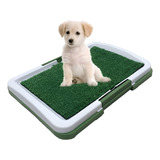 Sanitario Higienico Canino Caes