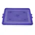 Sanitário Higienico Xixi Pets Premium Pet Injet Roxo