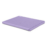 Sanitário Para Cães Candy Collors Baby Pipi Dolly s Lilás