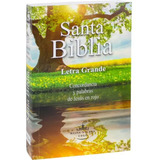 Santa Biblia Reina Valera
