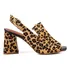 Sapato Feminino Ankle Boot Super Confortável Lançamento
