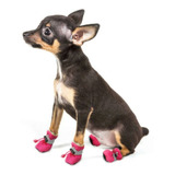 Sapato Para Cachorro Pequeno médio Porte Botinha Impermeável