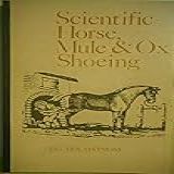 Sapatos Scientific Horse Mule Ox