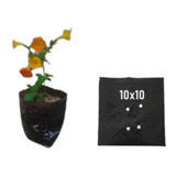 Saquinhos Para Mudas Saco Para Germinação 10x10cm 1kg