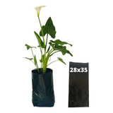 Saquinhos Para Mudas Saco Para Germinação 28x35cm 1kg