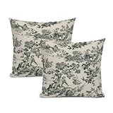 Sara Capas De Travesseiro De Banheiro Preto Francês Campestre Vintage Decoração De Casa De Banho Francesa Fronhas 45 X 45 Conjunto De 2 Para Casa De Fazenda  Sofá  Quarto  Decoração De Natal