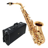 Sax Alto Eagle Mib Laqueado Com Estojo Sa501