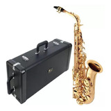 Sax Alto Eagle Sa501 Sa 501 Mib Laqueado Com Case Super Luxo