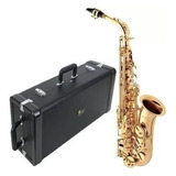 Sax Alto Eagle Sa501 Saxofone Mib Laqueado Com Case Luxo
