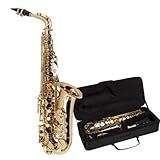 SAX ALTO VOGGA VSAS701N
