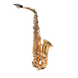 Saxofone Alto Em Mib Laqueado Dourado