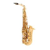 Saxofone Alto Halk Mib Dourado novo Com Garantia