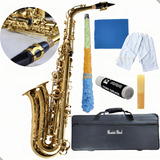 Saxofone Alto Iniciante Eb