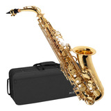 Saxofone Alto Michael Wasm30n