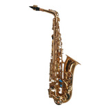 Saxofone Alto Profissional Eb Laqueado Sax Com Case Estojo