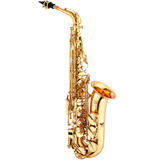 Saxofone Alto Sax Jupiter Jas500 Dourado Laqueado Eb C Case