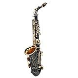 Saxofone Alto Saxofone Profissional