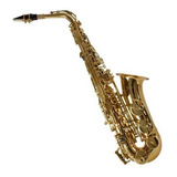 Saxofone Alto Shelter Sgft6430l Mi Bemol Laqueado C Case