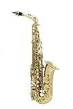 Saxofone Halk Alto Mib Dourado Completo
