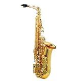 Saxofone Harmonics EB HAS 200L Alto Laqueado