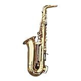 Saxofone Iniciantes Eb Alto Saxofone Latão