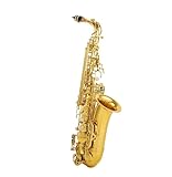 Saxofone Iniciantes Saxofone Alto Eb Tune