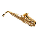 Saxofone Michael Wasm30n Sax Alto Laqueado C Case Nf