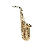 Saxofone Profissional Saxofone Alto