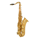 Saxofone Sax Shelter Sgft6435l Tenor Laqueado Dourado C case