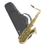 Saxofone Tenor Bb Harmonics Hts-100l Laqueado Com Case