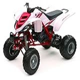 Scale Model Compatible With Atv-quad Yamaha Raptor 660r White 1:12 New Ray Ny57503yw