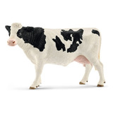 Holstein