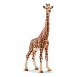 Girafa