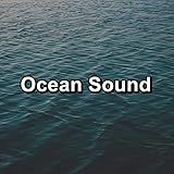 Sea Surfing Board Waves Sound