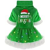 Sebaoyu Vestido De Natal Para Cães Suéter Feminino De Natal Suéter De Inverno Com Luz De LED Para Cães Pequenos Roupa De Natal Para Cães Fantasia De Natal Para Cães Roupas De Cachorro E Gatos