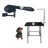 Secador Pet Mesa De