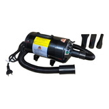 220v