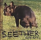 Seether 2002 13