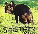 Seether 2002 2013