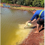 Selatanque Acquagel Pronto 10 Baldes Com 20 Kg