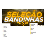Selecao Bandinhas Do Sul Gravado Em Pendriver