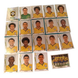 Seleção Brasileira Copa Mundo 2014 Panini Nunca Colada