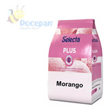 Selecta Plus Sabores Com Polpa De Fruta Desidratada 1kg 