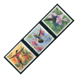 Fauna