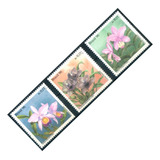 Orquídeas