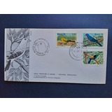 Selos Brasil Pássaros Brasileiros 1978 Envelope